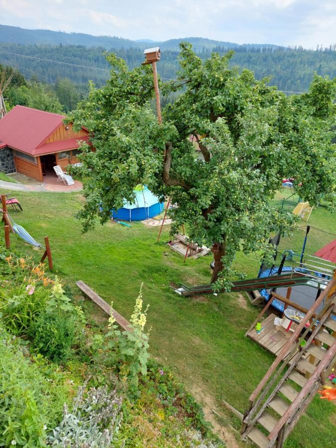 Domek Nad Lasem Koniakow Ngoại thất bức ảnh